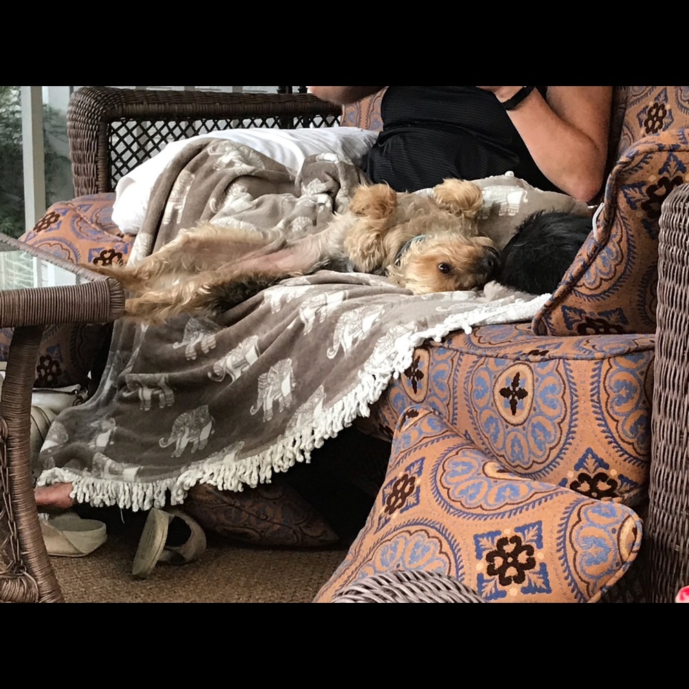 Meet your Posher, Melanie